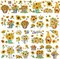 12 Sheets Floral Butterfly Rub on Transfers for Furniture (Sunflower) 5.9 x 5.9 inches